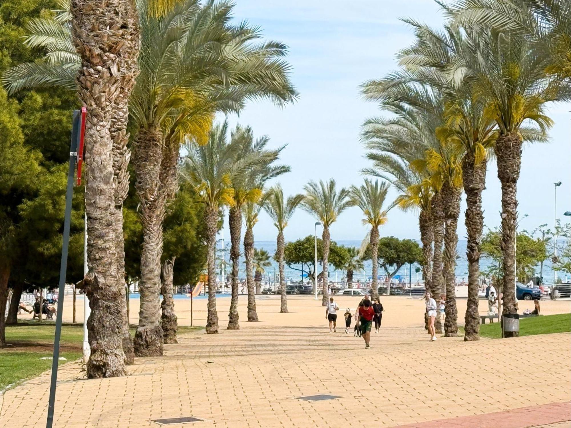 Cala Alta Apartamento